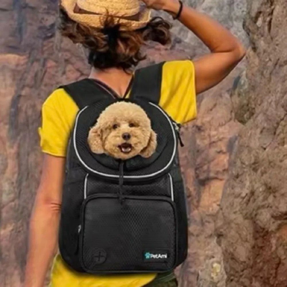 pet ami black dog